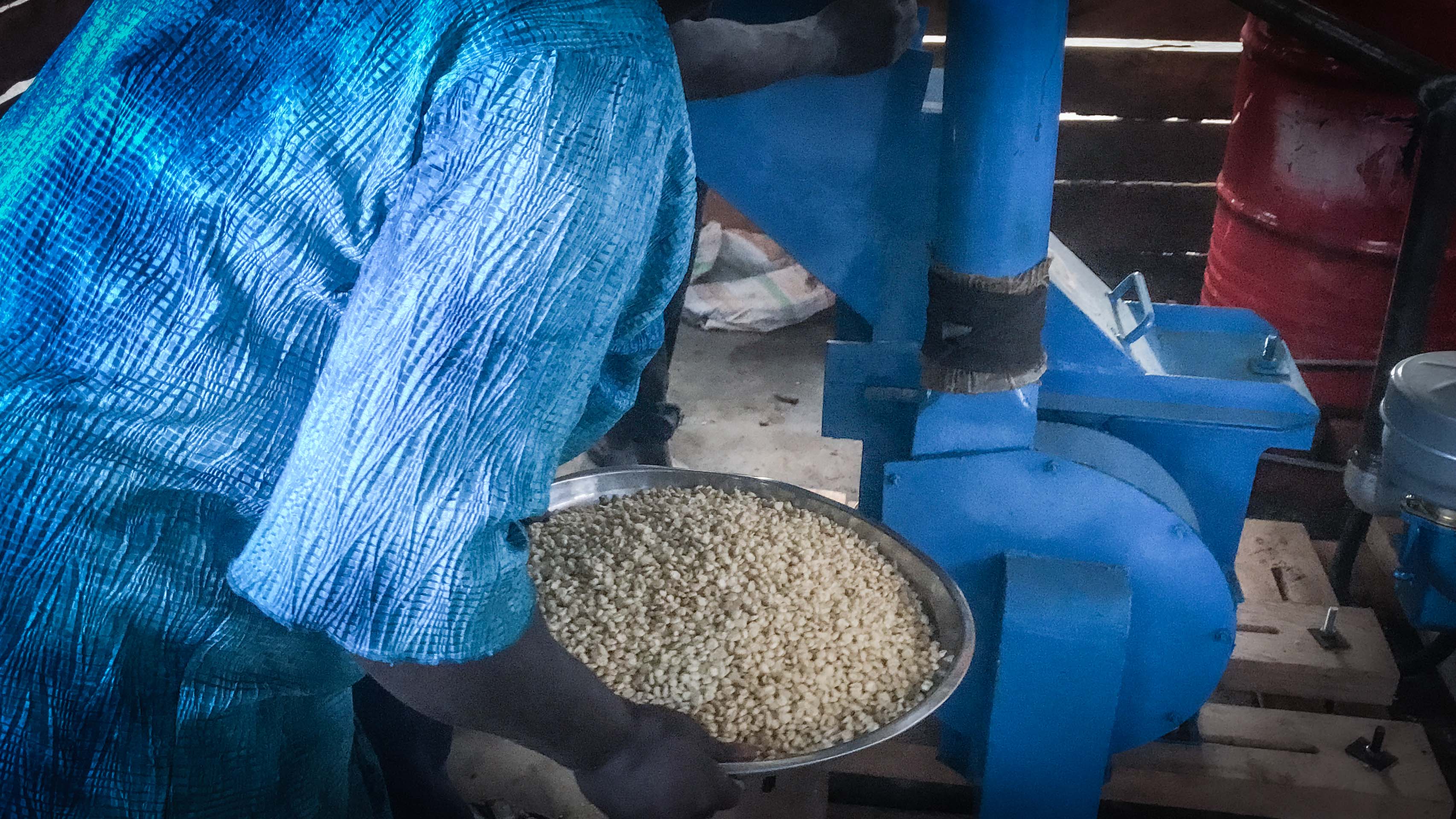 Community-owned maize mill in operation